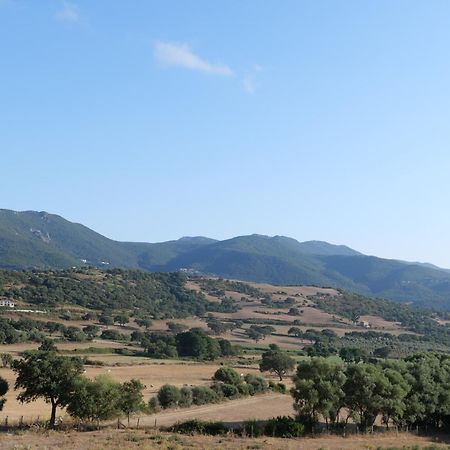 A Machja Hotel Olmiccia Exterior photo